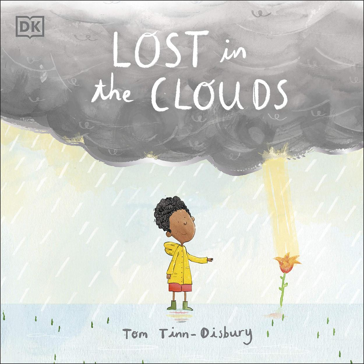 lost in the clouds book
